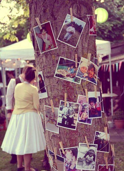 Dale un toque mágico a tu boda con fotos en árboles 2