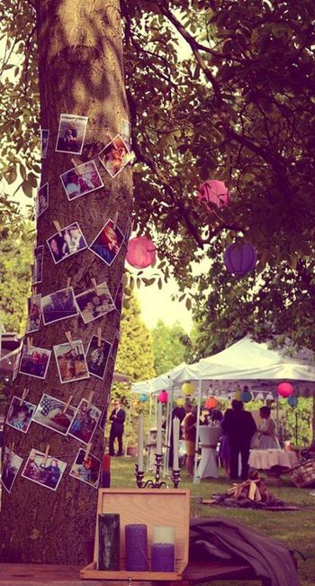 Dale un toque mágico a tu boda con fotos en árboles 4