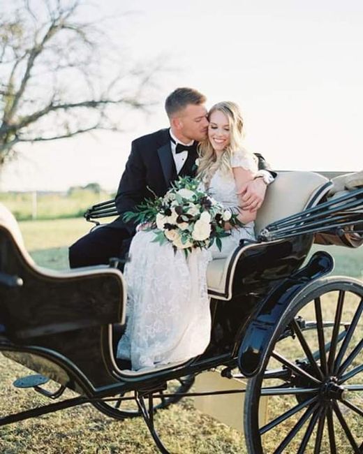 Carruajes para una llegada de ensueño 2