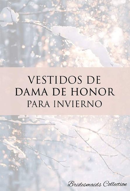 Vestidos en invierno para damas de honor ⛄❄️ 1