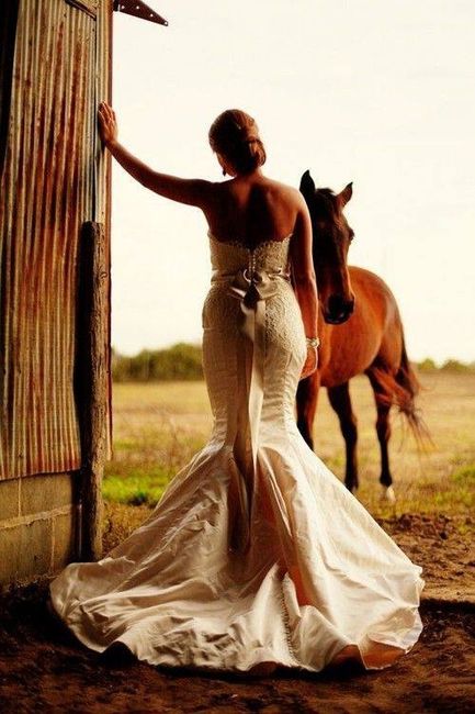 Una linda boda vaquera 2