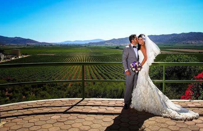 Boda en un viñedo 🍇 1