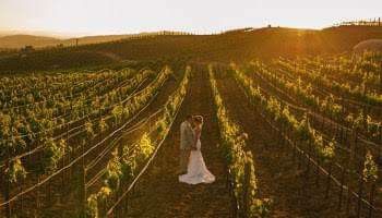 Boda en un viñedo 🍇 4