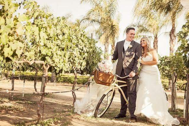 Boda en un viñedo 🍇 7
