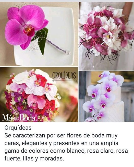 Flores clásicas y elegantes en las bodas 5