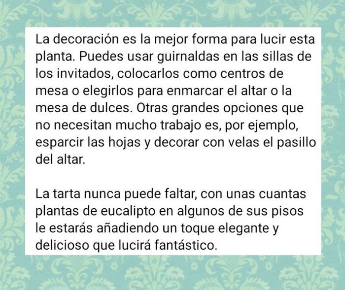 4 ideas para decorar con eucalipto 1