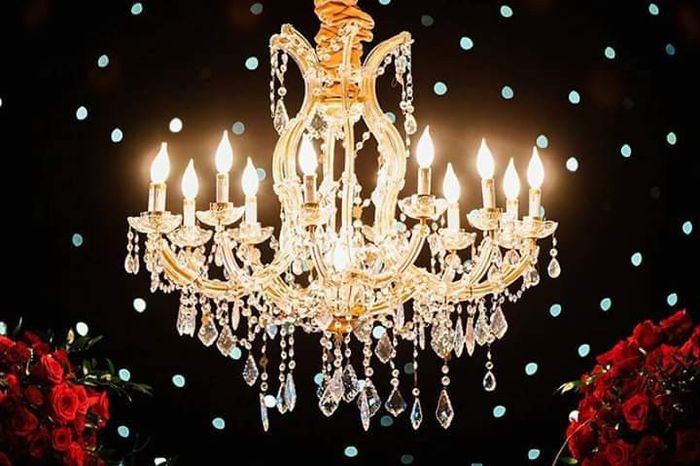 Haz tu sueño realidad con la bella y la bestia 16