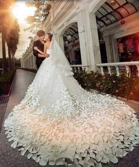 Hermosas caudas de novia 9