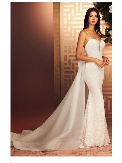 Vestidos colección primavera 2020 Paloma Blanca 4