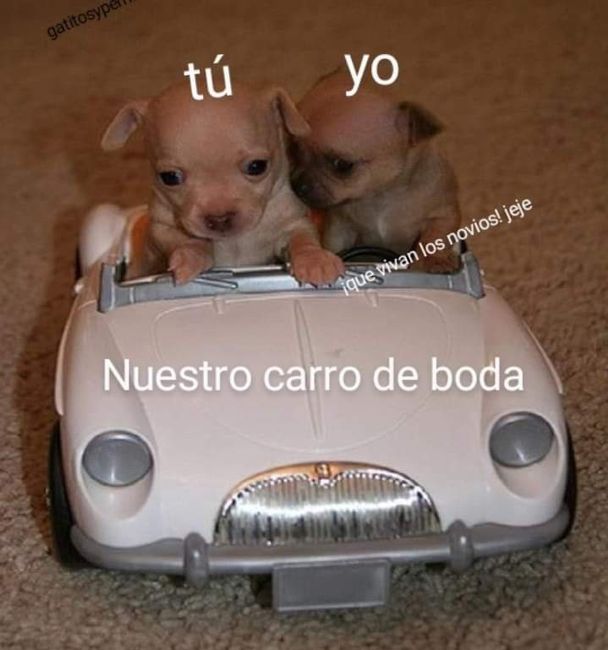 Sonrisas,sonrisas en viernes 😆 8