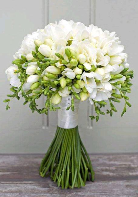 Colores: Ramos en blanco 1