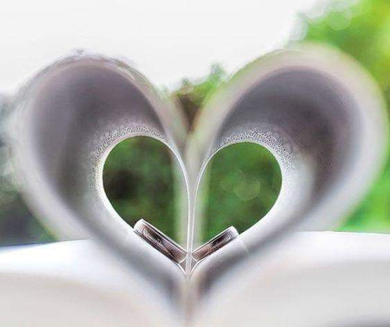 Fotos de los anillos de boda y compromiso 💍 7