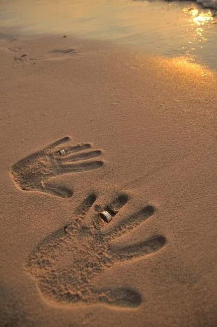 Fotos de los anillos de boda y compromiso 💍 8