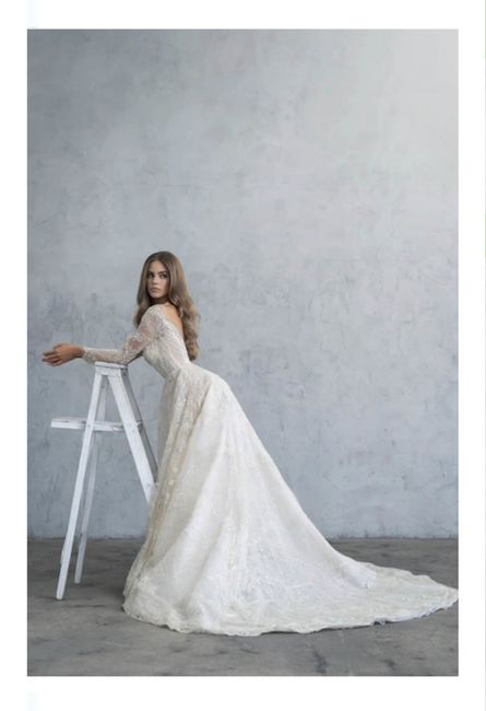 Vestidos colección otoño 2020 Adam Zohar 6