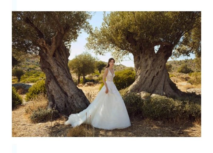 Vestidos colección otoño 2020 Costarellos 4