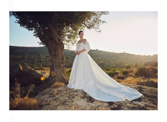 Vestidos colección otoño 2020 Costarellos 6