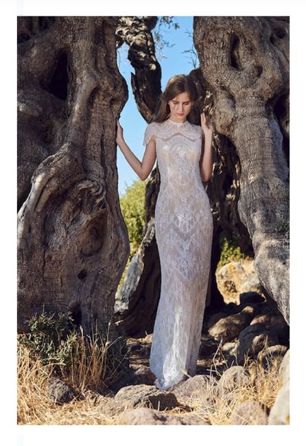 Vestidos colección otoño 2020 Costarellos 10