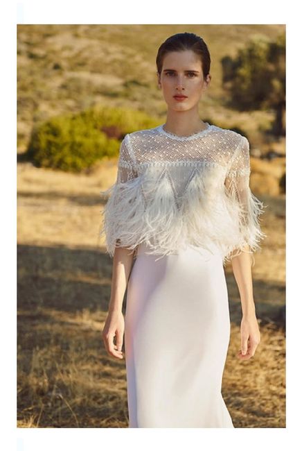 Vestidos colección otoño 2020 Costarellos 13