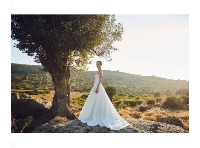 Vestidos colección otoño 2020 Costarellos 15