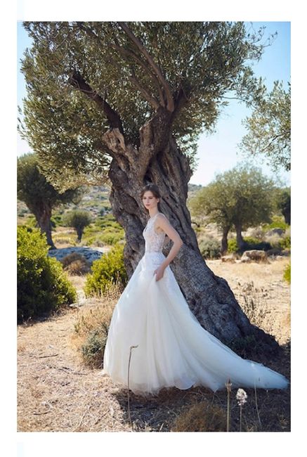Vestidos colección otoño 2020 Costarellos 20