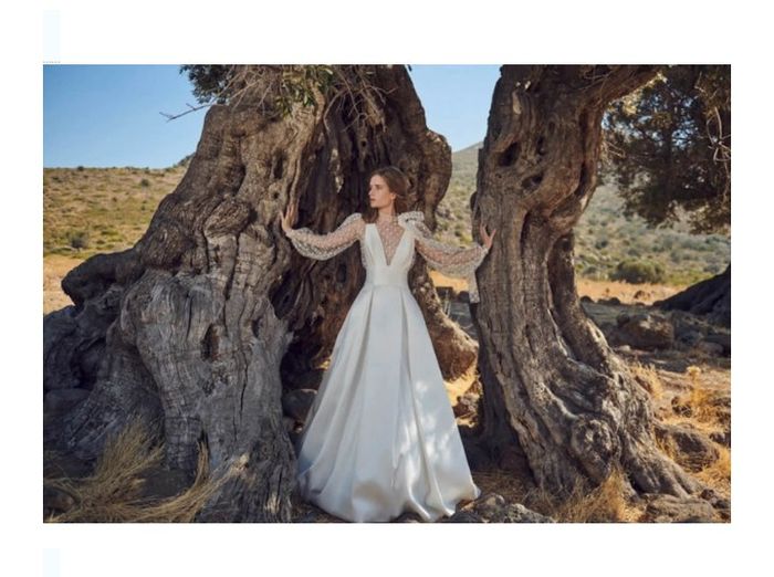 Vestidos colección otoño 2020 Costarellos 21