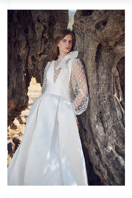 Vestidos colección otoño 2020 Costarellos 24