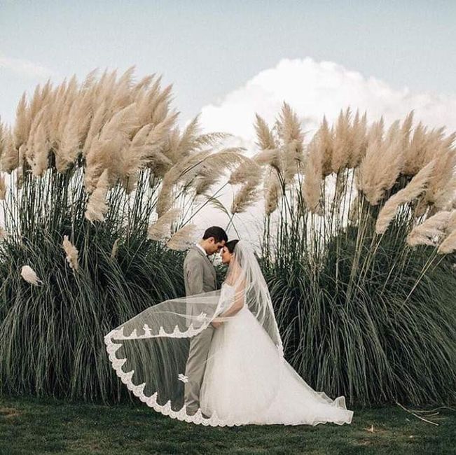 La naturaleza como testigo 3