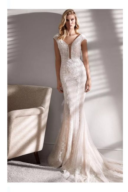 Vestidos colección primavera-verano 2020 Nicole Milano 6