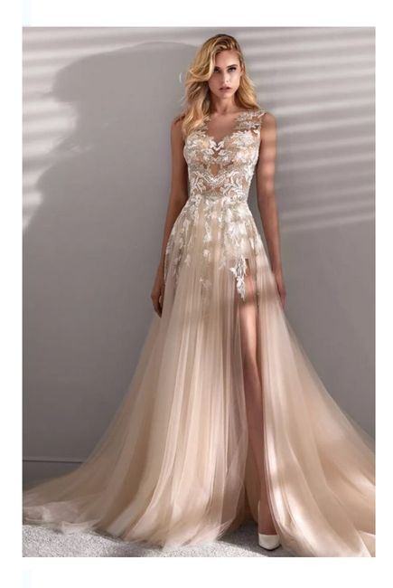 Vestidos colección primavera-verano 2020 Nicole Milano 9