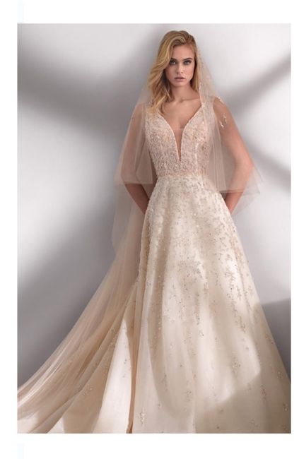 Vestidos colección primavera-verano 2020 Nicole Milano 20