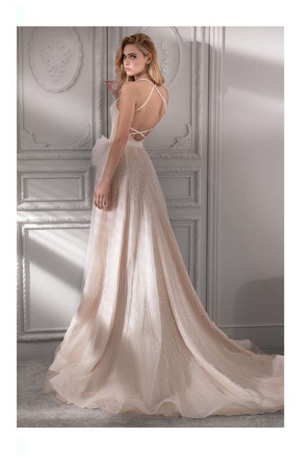 Vestidos colección primavera-verano 2020 Nicole Milano 21