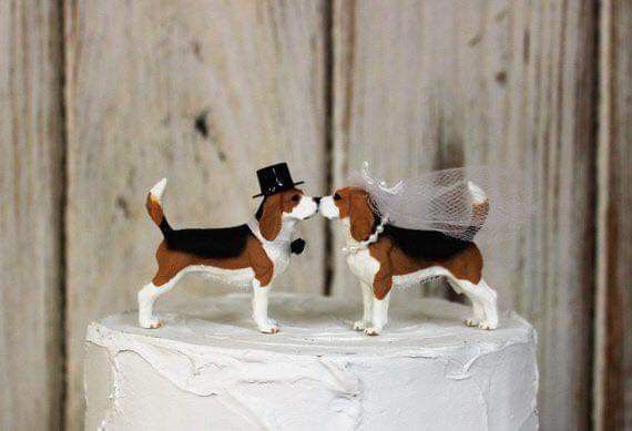 Tu mejor amigo en el pastel 🐕 5