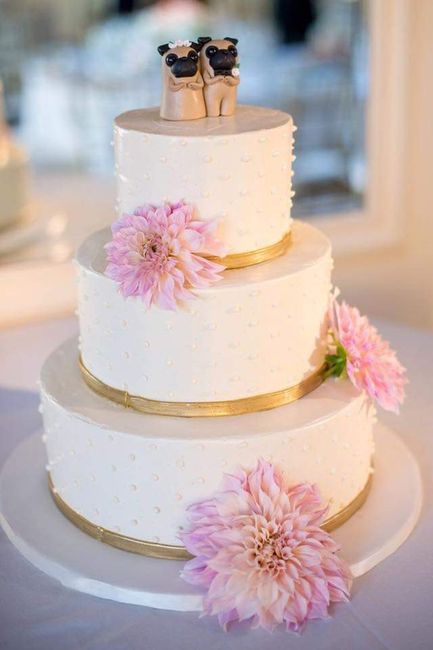 Tu mejor amigo en el pastel 🐕 7