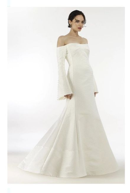 Vestidos colección otoño 2020 Steven Birnbaum 2