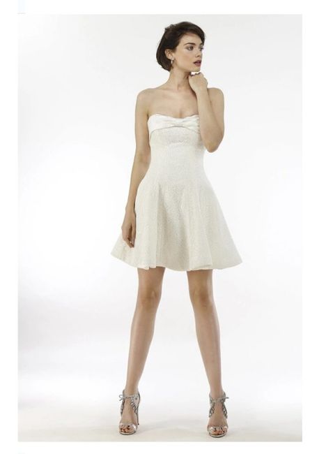 Vestidos colección otoño 2020 Steven Birnbaum 5