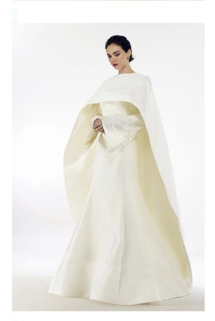 Vestidos colección otoño 2020 Steven Birnbaum 8