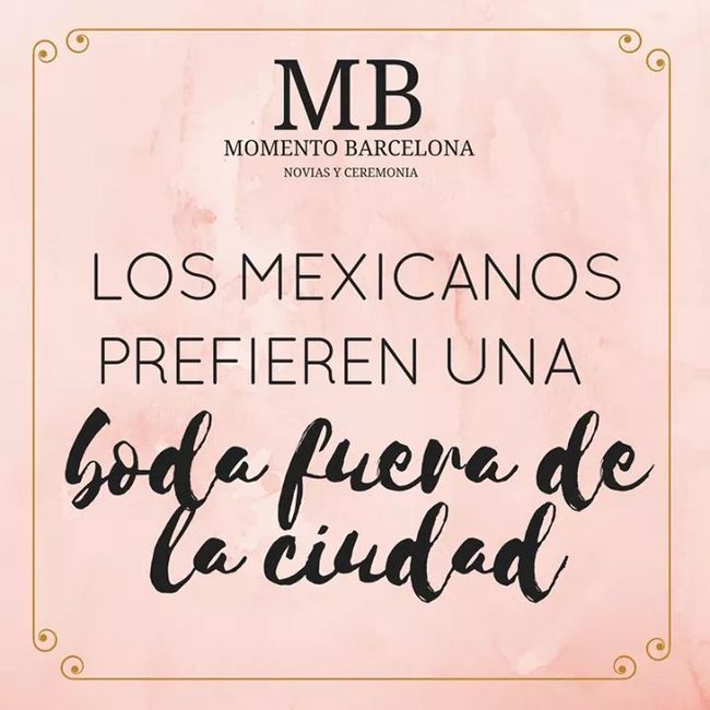 Descubre lo que prefieren los invitados 7
