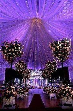 Luces y más luces 12