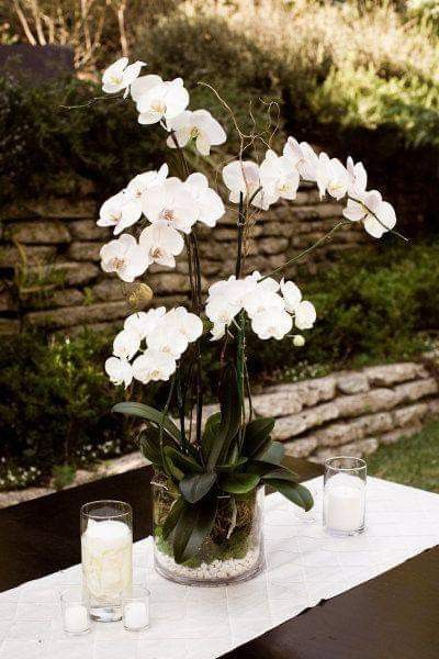 Centros de mesa con orquídeas 1