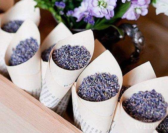 Conitos de lavanda como confeti - 2