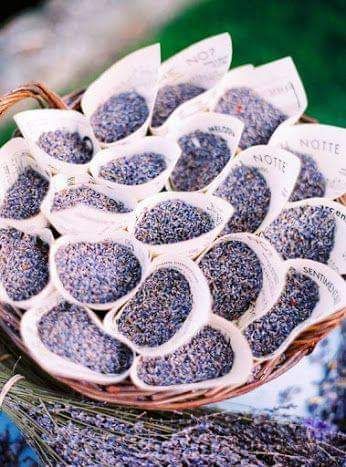 Conitos de lavanda como confeti - 4
