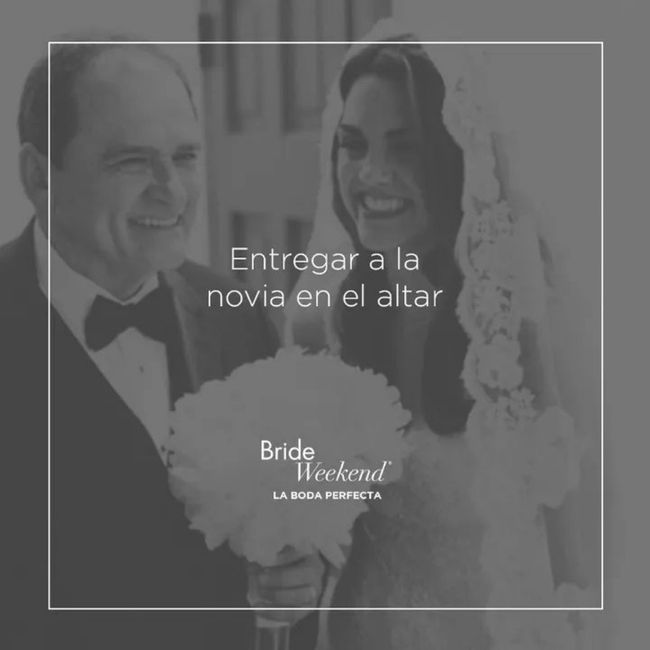 El padre de la novia 2