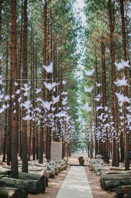 Una hermosa boda en el bosque 10