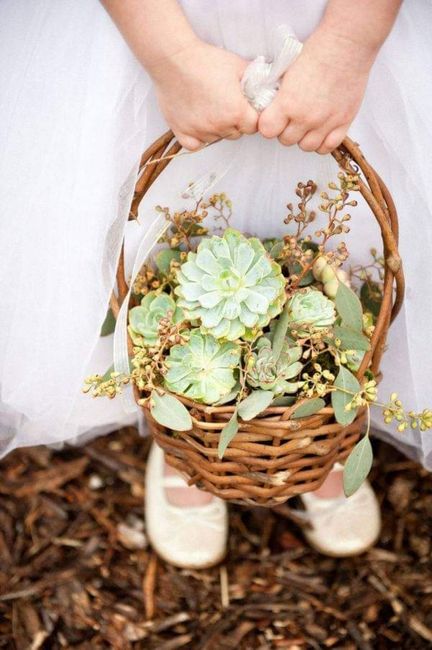 Boda rústica: canastitas con suculentas 3