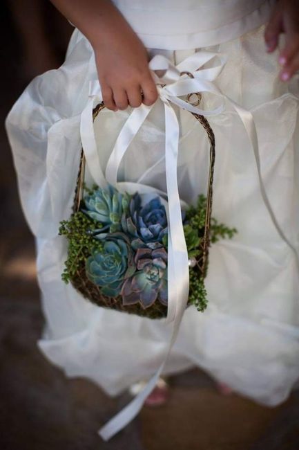 Boda rústica: canastitas con suculentas 4