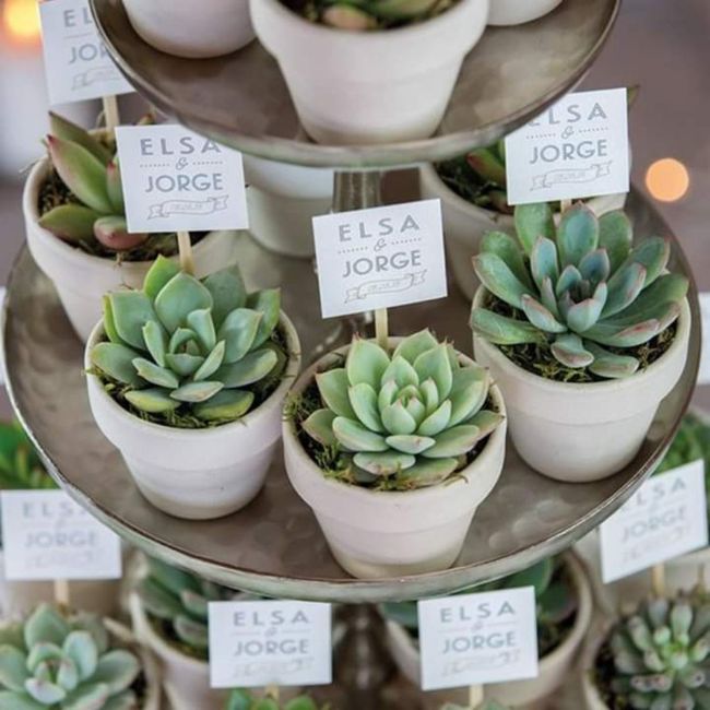 Recuerdos para tu boda 4
