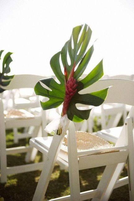 Pasillos con decoración tropical - 2