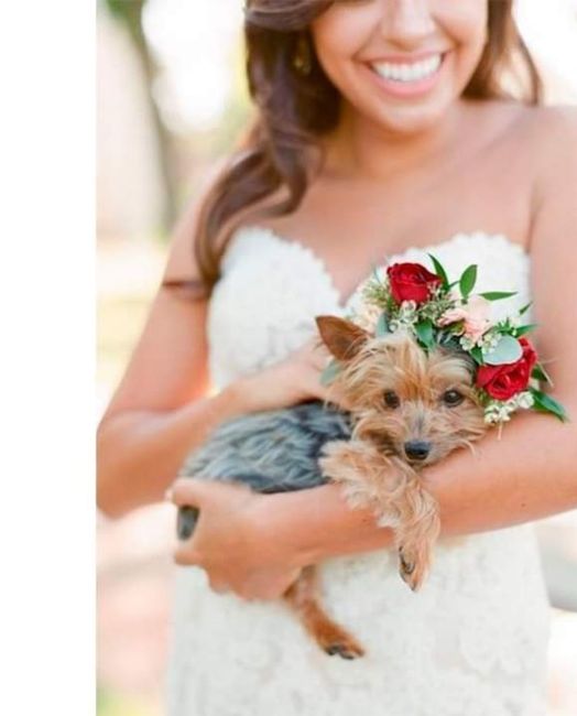 Tu hermosa mascota en tu boda 5