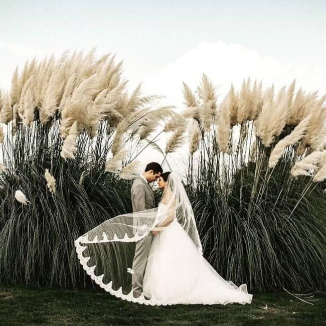 Inspírate con estas ideas para las mejores fotos 2