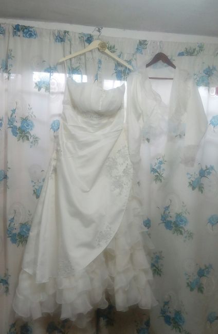 ¿Tu vestido de novia será con o sin mangas? 2